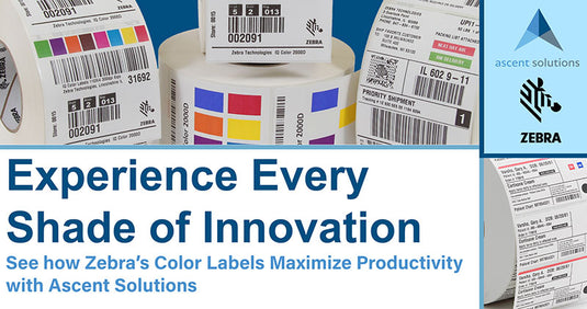 Experience Every Shade of Innovation